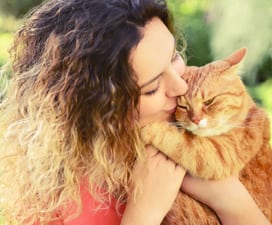 Helpful Information for Pet Owners in Hamden, CT